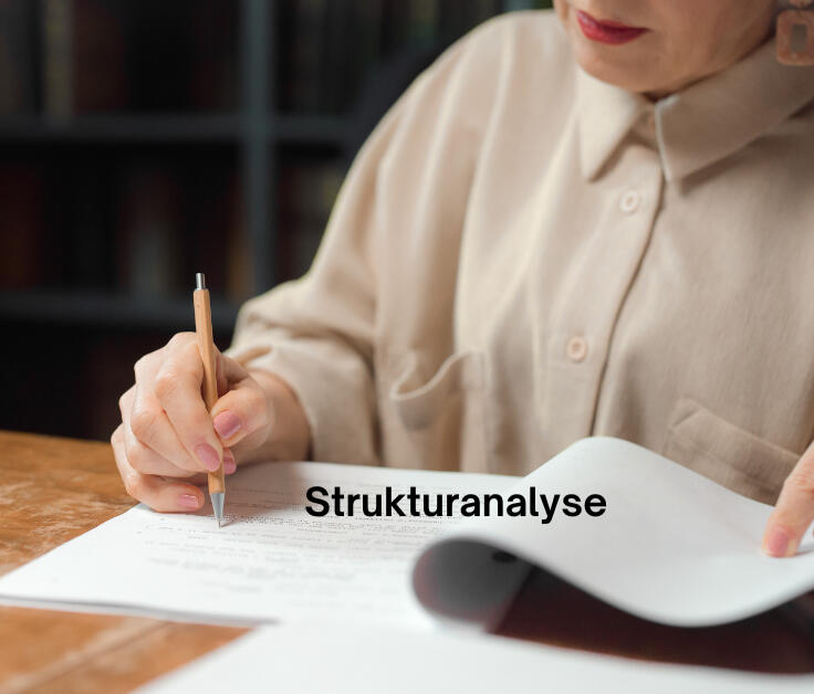 Analyse von Argumentationsstruktur, Aufbau und Dramaturgie komplexer Texte. Ich identifiziere strukturelle Unklarheiten und entwickle eine tragfähige Textarchitektur.